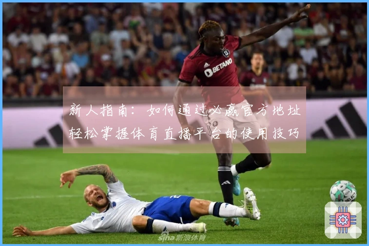 新人指南：如何通过必赢官方地址轻松掌握体育直播平台的使用技巧与功能介绍