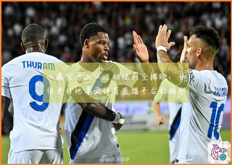 必赢官方入口活动福利全揭晓，如何更好地享受体育直播平台的精彩体验！