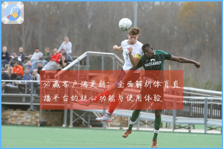 必赢客户端更新：全面解析体育直播平台的核心功能与使用体验